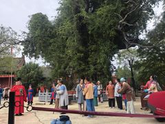 -大槐树寻根祭祖园