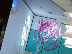-周渝食惦·酸菜鱼精致川菜(横岗店)