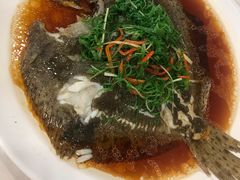 多宝鱼-四海之家(蛇口店)