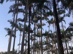 -荔枝公园(福田区)