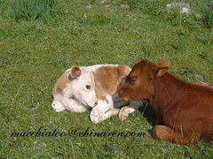 -互助北山国家地质公园漂流