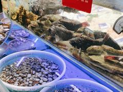 -小螺号海鲜·地道鲁菜(泉城广场店)