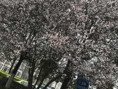 -江南大学(蠡湖校区)