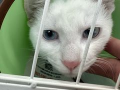 -美美宠物诊疗中心·异宠·骨科(滨江东信分院)