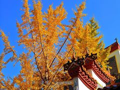 -南岳衡山风景名胜区-南岳大庙