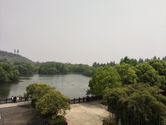 -佛罗伦萨西餐厅(良渚君澜度假酒店)