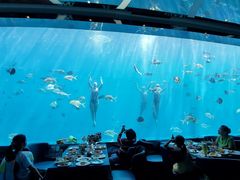 -瑞德姆美人鱼海底演艺主题餐厅(亚龙湾店)