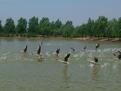 android_upload_pic-泰安地下龙宫景区