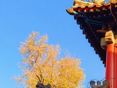 -承恩寺