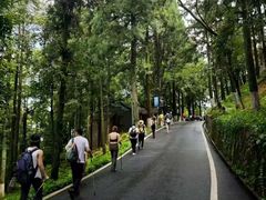 -莫干山风景区