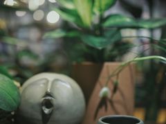 -谷咖啡·鲜花绿植花园餐厅