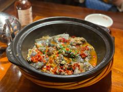 砂锅甲鱼-湘水谣(芙蓉店)