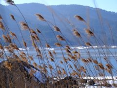 -浙西天池-售票处