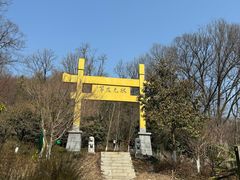 -老山国家森林公园