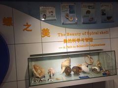 -惠州科技馆