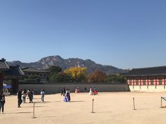 -景福宫
