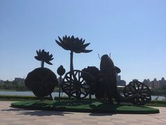 -莲花池公园