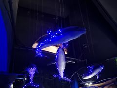 -鄂尔多斯野生动物园