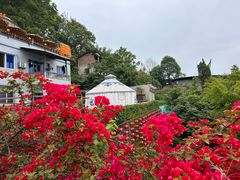 -伴山茶苑·围炉煮茶