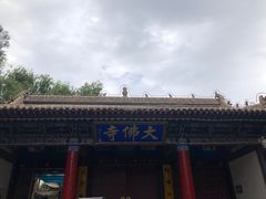 -张掖大佛寺景区