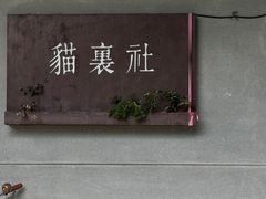 -猫里有甜