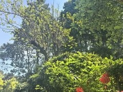 -竹海听涛生态山庄