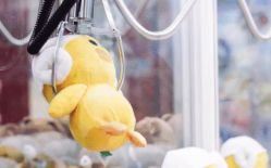 -恐龙探索乐园(磁器口店)