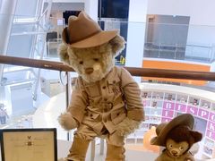 -济州岛泰迪熊博物馆