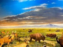 -陕西自然博物馆