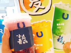 -春丽小马(济南恒隆广场店)