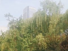 -天鹅湖体育公园