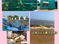 -秦皇岛新澳海底世界