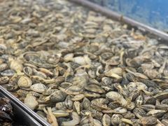 -登州市场(登州路店)