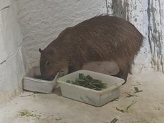 -重庆欢乐海底世界