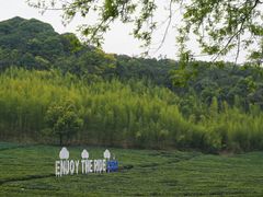-莫干山风景区