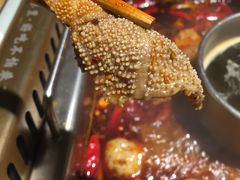 -雾都渣渣火锅(南城智汇城店)
