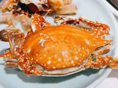 蒸海蟹-蓝珊瑚蒸汽海鲜餐厅(龙奥店)