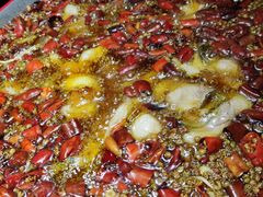 水煮乌江鱼-雲蜀龙阁·金牌水煮鱼(方庄店)