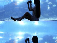 -重庆欢乐海底世界