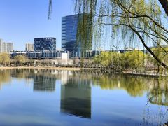 -大兴滨河森林公园