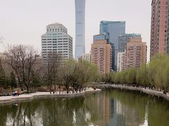 -团结湖公园