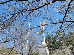 -武汉大学-樱园