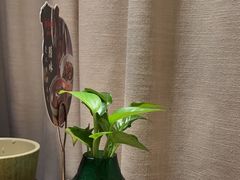 -望湘园·洞庭渔宴(浦江欢乐颂店)