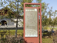 -张家湾公园