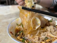 -邓氏大薄片