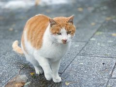 -北京石刻艺术博物馆(五塔寺)