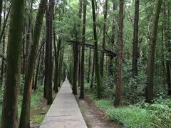 -同里国家湿地公园