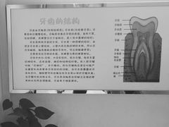 -上海市口腔医院(徐汇院区)