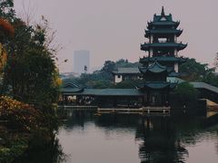 -桂湖森林公园