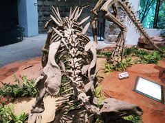 -自贡恐龙博物馆